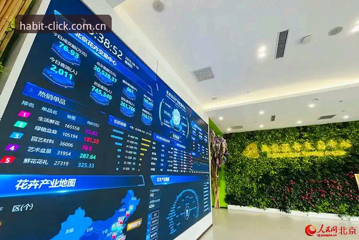 每天习惯点开的地方数据中心使用技巧 每天习惯点开的地方数据中心,你真的会用吗?三个误区让你数据白查